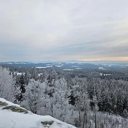 Lipnoczech