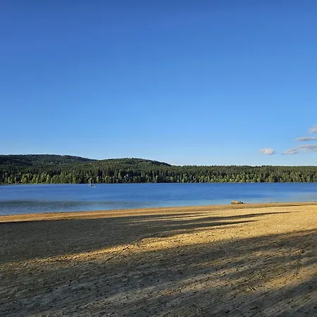 Lipnoczech