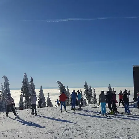 شقة Lipnoczech فريمبورك