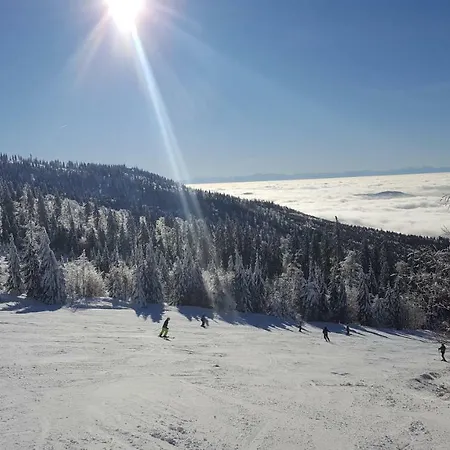 Lipnoczech