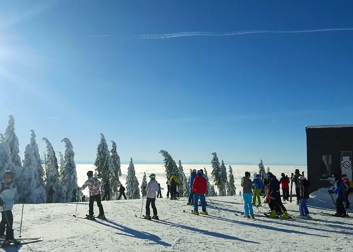 Lipnoczech فريمبورك