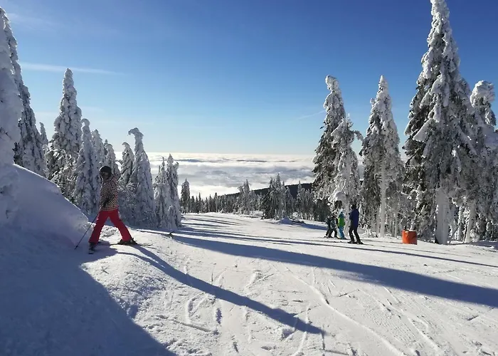 Lipnoczech * فريمبورك