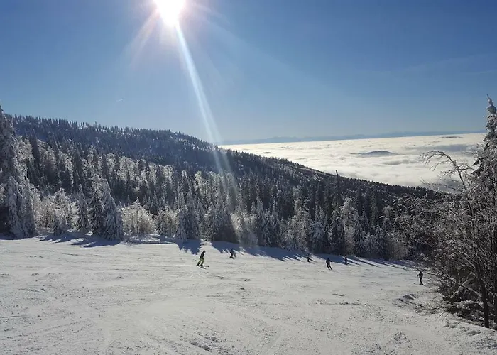 Lipnoczech